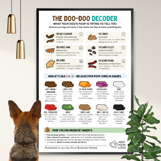 Funny Dog Poop Wall Chart for Pet Professionals Poster