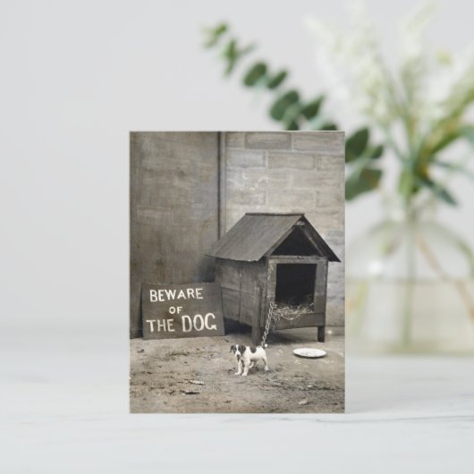 Funny Dog postards Briefkaart (Staand voorkant)