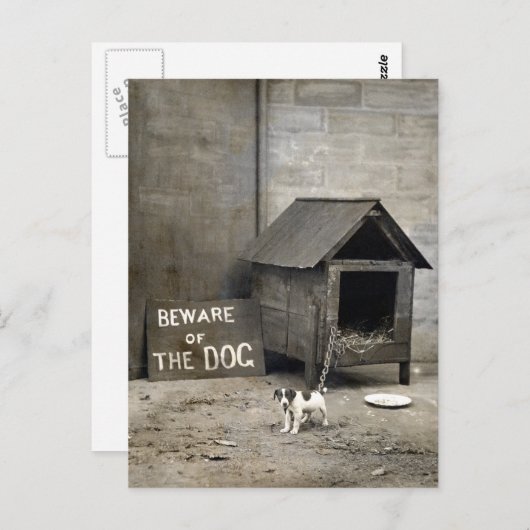 Funny Dog postards Briefkaart (Voorkant / Achterkant)