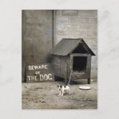 Funny Dog postards Briefkaart (Voorkant)