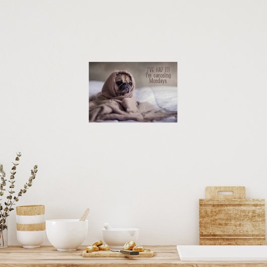 Funny Dog Poster (Keuken)