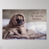 Funny Dog Poster (Voorkant)