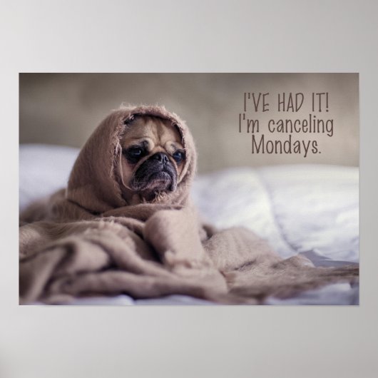 Funny Dog Poster (Voorkant)