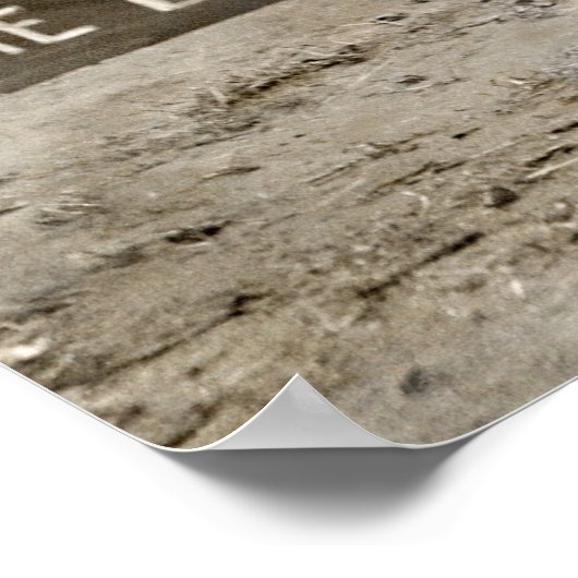 Funny Dog Poster (Hoek)