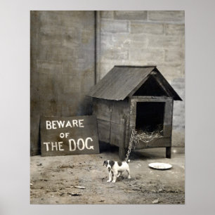 Funny Dog Poster