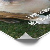 Funny Dog Poster Bulldog Pet Dogs Creationarts (Hoek)