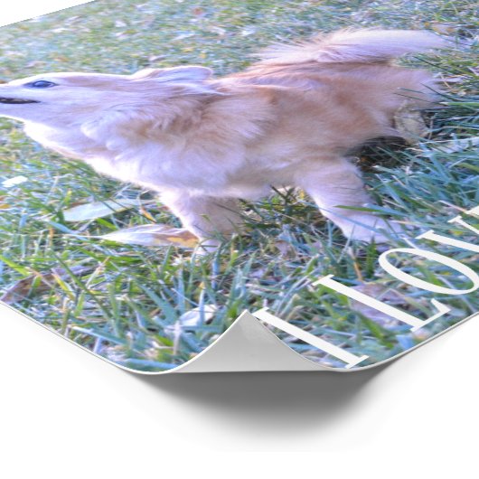 Funny Dog Pulling op Shirt Gepersonaliseerd dat ik Poster (Hoek)