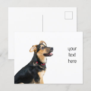 Funny dog puppy briefkaart