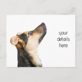 Funny dog puppy briefkaart (Voorkant)