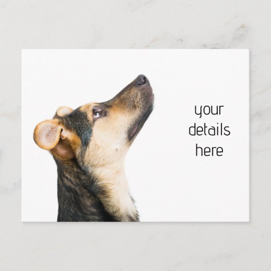 Funny dog puppy briefkaart (Voorkant)