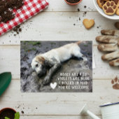 Funny Dog Puppy Valentijnsdag