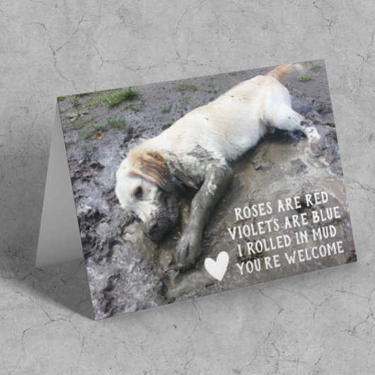 Funny Dog Puppy Valentijnsdag