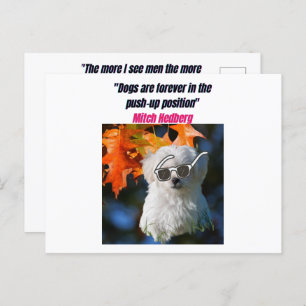 Funny Dog Quotes Briefkaart