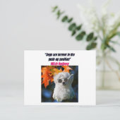 Funny Dog Quotes Briefkaart (Staand voorkant)