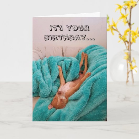 Funny Dog Relaxing Verjaardag Kaart (Gele Bloem)