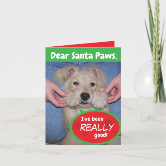 Funny Dog Santa Paws Holiday Folded Wenskaart Feestdagen Kaart (Voorkant)