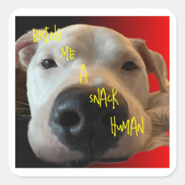 FUNNY DOG STICKER