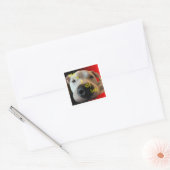 FUNNY DOG STICKER (Envelop)