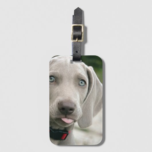 Funny Dog Sticking Tongue Foto Bagagelabel (Voorkant (verticaal))