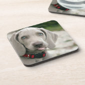 Funny Dog Sticking Tongue Foto Bier Onderzetter (Linkerzijde)