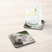 Funny Dog Sticking Tongue Foto Bier Onderzetter (Rechterzijde)