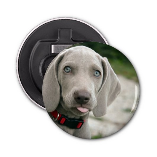Funny Dog Sticking Tongue Foto Button Flesopener (Voorkant)
