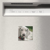 Funny Dog Sticking Tongue Foto Magneet (Insitu (Vaatwasser))