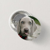Funny Dog Sticking Tongue Foto Ronde Button 3,2 Cm (Voorkant /achterkant)