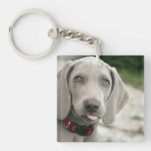 Funny Dog Sticking Tongue Foto Sleutelhanger