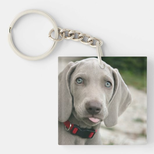 Funny Dog Sticking Tongue Out Photo Sleutelhanger (Voorkant)