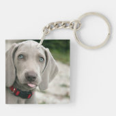 Funny Dog Sticking Tongue Out Photo Sleutelhanger (Achterkant)