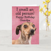 Funny dog verjaardagskaart kaart (Gele Bloem)