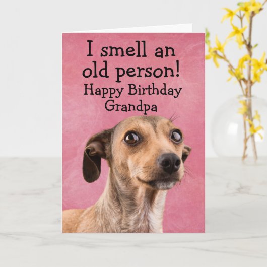 Funny dog verjaardagskaart kaart (Gele Bloem)