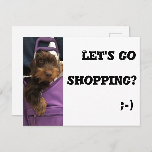Funny dog, we gaan winkelen briefkaart (Voorkant / Achterkant)