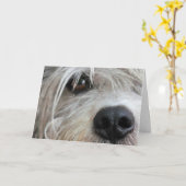 Funny Dog wordt bijna gesloten Kaart (Gele Bloem)