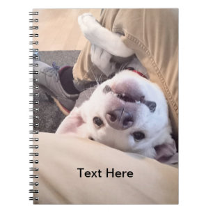 Funny Dog zal niet genegeerd worden Comical Photo Notitieboek