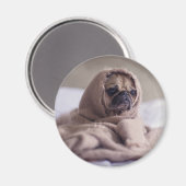 Funny doggy magneet (Voorkant / Achterkant)