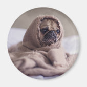 Funny doggy magneet (Voorkant)