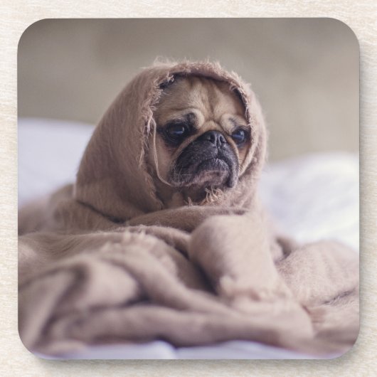 Funny doggy onderzetter (Voorkant)