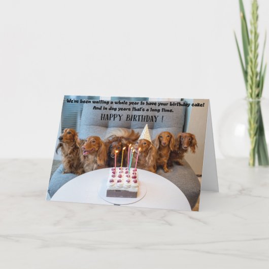 Funny Dogs Birthday Greeting Card Kaart (Voorkant)