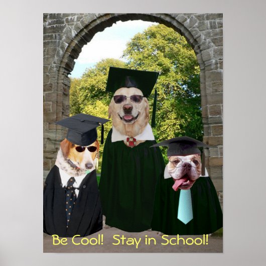 Funny Dogs Blijf op school in Poster (Voorkant)