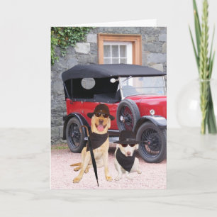  Funny Dogs Classic Kaart