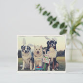 Funny Dogs Happy Easter Briefkaart (Staand voorkant)