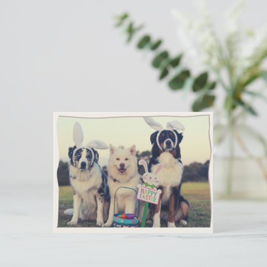 Funny Dogs Happy Easter Briefkaart (Staand voorkant)