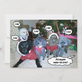 Funny Dogs helpt de kerstboom te water te komen Feestdagenkaart