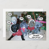 Funny Dogs helpt de kerstboom te water te komen Feestdagenkaart (Voorkant / Achterkant)