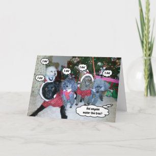 Funny Dogs helpt de kerstboom te water te komen Kaart