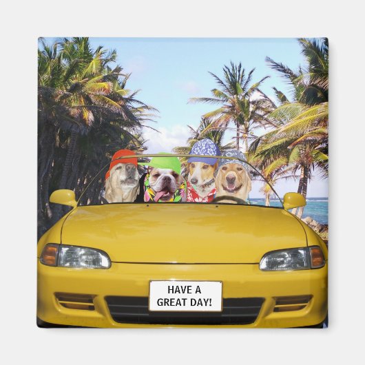 Funny Dogs in Convertible Magneet (Voorkant)