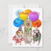 Funny Dogs Kinderen Party Uitnodiging (Voorkant)