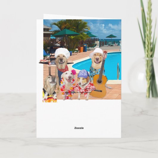 Funny Dogs / Labs bij Pool Birthday Bedankkaart (Achterkant)